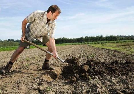 Cultivando para alguns