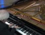 Os Ciclopes ao piano: uma mão-cheia de&nbsp;inovação